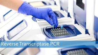 ReverseTranscriptase PCR
 