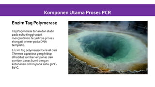 EnzimTaq Polymerase
Taq Polymerase tahan dan stabil
pada suhu tinggi untuk
mengkatalisis terjadinya proses
elongasi primer pada DNA
template.
Enzim taq polymerase berasal dari
Thermus aquaticus yang hidup
dihabitat sumber air panas dan
sumber panas bumi dengan
ketahanan enzim pada suhu 50oC-
80oC.
Komponen Utama Proses PCR
 