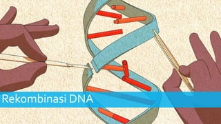 Rekombinasi DNA
 