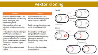 Vektor Kloning
Plasmid Episom
Plasmid adalah molekul DNA
ekstrakromosom bakteri yang
kecil, melingkar, dan
berikatan ganda
Episom adalah tipe DNA
ekstrakromosom yang lebih
besar daripada plasmid
Mengandung informasi
penting untuk pereplikasian
diri
Tidak mengandung informasi
untuk pereplikasian diri
Tidak bisa berikantan dengan
DNA kromosom bakteri
Mereka bisa terintegrasi
dengan DNA kromosom
Beberapa gen yang berada di
plasmid memberikan ciri khas
pada bakteri seperti resistensi
antibiotik, toleransi logam
berat, dll.
Episom tidak mengandung
gen spesial. Plasmid F
mengandung hanya DNA
faktor F.
Plasmid digunakan sebagai
vektor
Episoms tidak digunakan
sebagai vektor
 