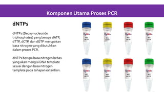 dNTPs
dNTPs (Deoxynucleoside
triphosphates) yang berupa dATP,
dTTP, dCTP, dan dGTP merupakan
basa nitrogen yang dibutuhkan
dalam proses PCR.
dNTPs berupa basa nitrogen bebas
yang akan mengisi DNA template
sesuai dengan basa nitrogen
template pada tahapan extention.
Komponen Utama Proses PCR
 