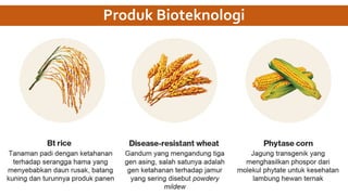 Produk Bioteknologi
 