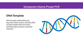 DNATemplate
DNA template adalah DNA yang
digunakan dalam analisis. Biasanya DNA
template adalah DNA hasil isolasi
terhadap objek penelitian yang telah
dilakukan.
Komponen Utama Proses PCR
 