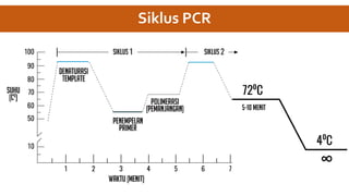 Siklus PCR
 