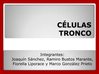 CÉLULAS TRONCO Integrantes:  Joaquín Sánchez, Ramiro Bustos Marante, Fiorella Liporace y Marco González Prieto 