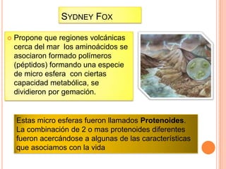 SYDNEY FOX

   Propone que regiones volcánicas
    cerca del mar los aminoácidos se
    asociaron formado polímeros
    (péptidos) formando una especie
    de micro esfera con ciertas
    capacidad metabólica, se
    dividieron por gemación.


    Estas micro esferas fueron llamados Protenoides.
    La combinación de 2 o mas protenoides diferentes
    fueron acercándose a algunas de las características
    que asociamos con la vida
 