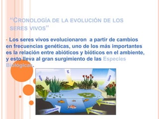 “CRONOLOGÍA DE LA EVOLUCIÓN DE LOS
    SERES VIVOS”

•Los seres vivos evolucionaron a partir de cambios
en frecuencias genéticas, uno de los más importantes
es la relación entre abióticos y bióticos en el ambiente,
y esto lleva al gran surgimiento de las Especies
Biológicas.
 