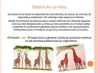 ORIGEN DE LA VIDA.
Los seres vivos tienen la capacidad de reproducirse, de crecer, de nutrirse, de
         respuesta y adaptación. Sin embargo cada especie es distinta.
Desde la formación del planeta este a estado habitado por distintas especies
  unas que han desaparecido y otras que han persistido en el tiempo (estas
   presentan la combinación genética mas favorables a los requerimientos
    ambientales.) pero a través de lo que hoy conocemos como evolución.


Evolución         Proceso lento y gradual, donde se producen cambios
                en las diversas poblaciones de organismos
 