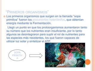 “PRIMEROS ORGANISMOS”
   Los primeros organismos que surgen en la llamada “sopa
    primitiva” fueron los procariontes heterótrofos, que obtenían
    energía mediante la Fermentación.
     Llegó un punto en que los protoorganismos aumentaron tanto
    su número que los nutrientes eran insuficiente, por lo tanto
    algunos se desintegraron para suplir el rol de nutrientes para
    las especies más resistentes, los que fueron capaces de
    utilizar luz solar y sintetizar el ATP.


         SOPA
        PRIMITIV
           A
 