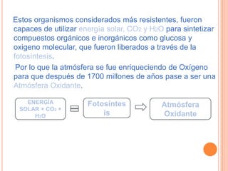 Estos organismos considerados más resistentes, fueron
capaces de utilizar energía solar, CO2 y H2O para sintetizar
compuestos orgánicos e inorgánicos como glucosa y
oxigeno molecular, que fueron liberados a través de la
fotosíntesis.
 Por lo que la atmósfera se fue enriqueciendo de Oxígeno
para que después de 1700 millones de años pase a ser una
Atmósfera Oxidante.

   ENERGÍA            Fotosíntes            Atmósfera
 SOLAR + CO2 +
     H2O                  is                Oxidante
 
