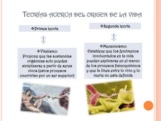 TEORÍAS ACERCA DEL ORIGEN DE LA VIDA
                                          Segunda teoría
      Primea teoría



                                          Mecanicismo:
          Vitalismo:              Establece que los fenómenos
 Propone que las sustancias           involucrados en la vida
    orgánicas solo puedes         pueden explicarse en el marco
 sintetizarse a partir de seres   de los procesos fisicoquímicos
     vivos (estos procesos        y que la línea entre lo vivo y lo
ocurrirían por un ser superior)        inerte no esta definida
 