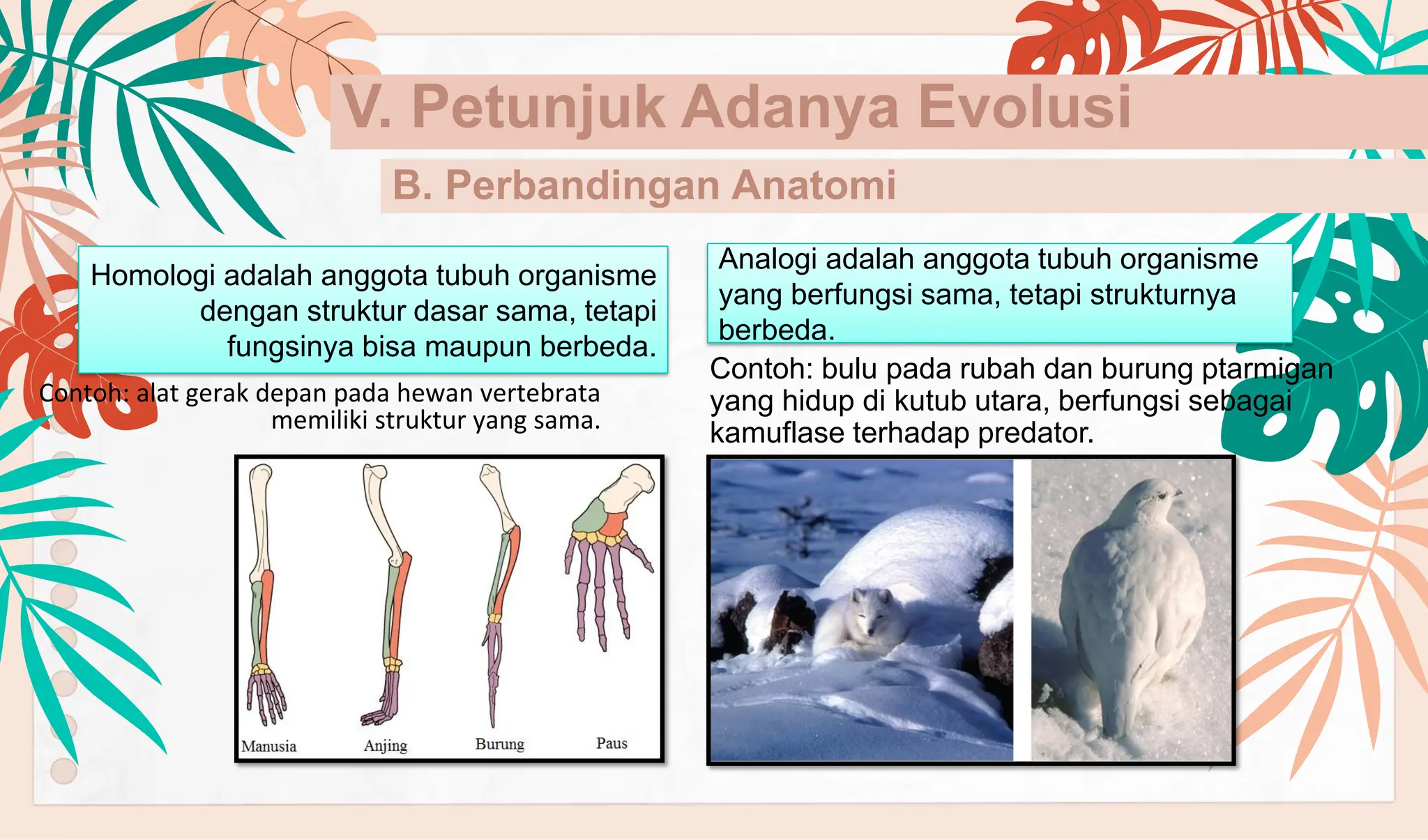 PPT BIOLOGI KELAS XII Materi Mutasi pada Makhluk hidup.pdf