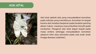 PPT BIOLOGI POLA-POLA HEREDITAS KELOMPOK 5.pdf