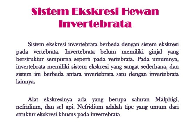 Ppt biologi sistem ekskresi baru Ppt biologi sistem ekskresi baru