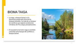 BIOMA TAIGA
• La taiga, o bosque boreal, es la
biocenosis propia del clima de los
bosques boreales. Se trata de un bosque
de coníferas que soporta condiciones
climáticas de frío y bajas precipitaciones.
• El ecosistema terrestre taiga es también
conocido como bosque de coníferas o
bosque boreal.
1
 