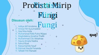 Protista Mirip
Fungi
Disusun oleh:
 