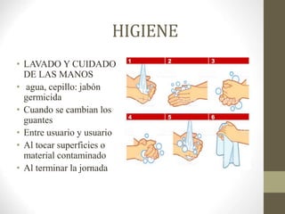 HIGIENE
• LAVADO Y CUIDADO
DE LAS MANOS
• agua, cepillo: jabón
germicida
• Cuando se cambian los
guantes
• Entre usuario y usuario
• Al tocar superficies o
material contaminado
• Al terminar la jornada
 