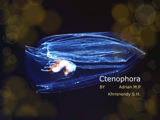 Ctenophora
BY Adrian M.P
Khrisnendy S.H.
 