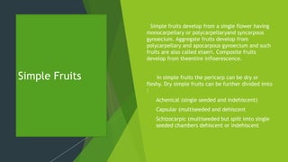 Simple Fruits
Simple fruits develop from a single flower having
monocarpellary or polycarpellaryand syncarpous
gynoecium. Aggregate fruits develop from
polycarpellary and apocarpous gynoecium and such
fruits are also called etaeri. Composite fruits
develop from theentire infloerescence.

 In simple fruits the pericarp can be dry or
fleshy. Dry simple fruits can be further divided imto
:
 Achenical (single seeded and indehiscent)
 Capsular (multiseeded and dehiscent
 Schizocarpic (multiseeded but spilt imto single
seeded chambers dehiscent or indehiscent
 