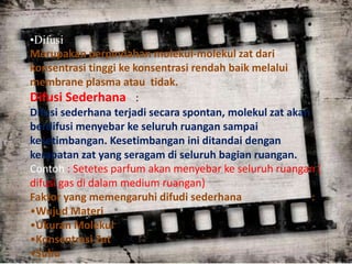 •Difusi 
Merupakan perpindahan molekul-molekul zat dari 
konsentrasi tinggi ke konsentrasi rendah baik melalui 
membrane plasma atau tidak. 
Difusi Sederhana : 
Difusi sederhana terjadi secara spontan, molekul zat akan 
berdifusi menyebar ke seluruh ruangan sampai 
kesetimbangan. Kesetimbangan ini ditandai dengan 
kerapatan zat yang seragam di seluruh bagian ruangan. 
Contoh : Setetes parfum akan menyebar ke seluruh ruangan ( 
difusi gas di dalam medium ruangan) 
Faktor yang memengaruhi difudi sederhana : 
•Wujud Materi 
•Ukuran Molekul 
•Konsentrasi Zat 
•Suhu 
 