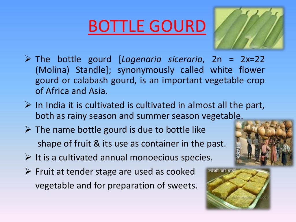 Breeding of Bottlegourd &amp; Bittergourd