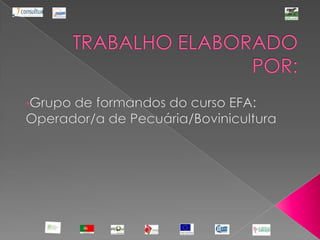 TRABALHO ELABORADO POR:Grupo de formandos do curso EFA: Operador/a de Pecuária/Bovinicultura