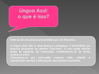 Língua Azul:o que é isso?Trata-se de uma doença transmitida por um Arbovírus.A Língua Azul não é uma doença contagiosa. É transmitida por insectos picadores do género Culicoides. O vírus pode afectar todas as espécies de ruminantes, manifestando-se de forma severa no ovino.Caracteriza-se por estomatite catarral, rinite, enterite e claudicação devido à inflamação das bandas coronárias.