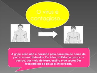 O vírus écontagioso...A gripe suína não é causada pelo consumo de carne de porco e seus derivados. Ela é transmitida de pessoa a pessoa, por meio de tosse, espirro e de secreções respiratórias de pessoas infectadas.