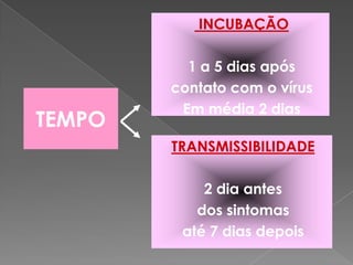  INCUBAÇÃO1 a 5 dias apóscontato com o vírusEm média 2 diasTEMPOTRANSMISSIBILIDADE2 dia antes dos sintomas até 7 dias depois