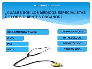 ¿CUÁLES SON LOS MÉDICOS ESPECIALISTAS DE
LOS SIGUIENTES ÓRGANOS?
ACTIVIDADES - LOS SENTIDOS
OTORRINOLARINGÓLOGO
DERMATÓLOGO
OFTALMÓLOGOOJOS
ODONTÓLOGO
PIEL
OÍDO,GARGANTA Y NARIZ.
BOCA
 