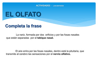 La nariz, formada por dos orificios y por las fosas nasales
que están separadas por el
ACTIVIDADES - LOS SENTIDOS
EL OLFATO
Completa la frase
El aire entra por las fosas nasales, dentro está la pituitaria,
que transmite al cerebro las sensaciones por el
Tabique nasal
Nervio olfativo
 
