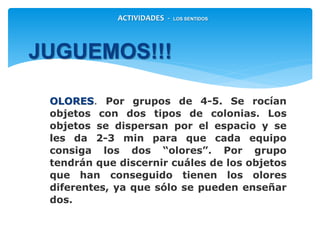 OLORES. Por grupos de 4-5. Se rocían
objetos con dos tipos de colonias. Los
objetos se dispersan por el espacio y se
les da 2-3 min para que cada equipo
consiga los dos “olores”. Por grupo
tendrán que discernir cuáles de los objetos
que han conseguido tienen los olores
diferentes, ya que sólo se pueden enseñar
dos.
JUGUEMOS!!!
ACTIVIDADES - LOS SENTIDOS
 