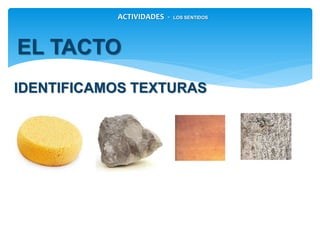 IDENTIFICAMOS TEXTURAS
ACTIVIDADES - LOS SENTIDOS
EL TACTO
 