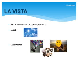 • Es un sentido con el que captamos :
 LA LUZ
 LAS IMÁGENES
LA VISTA
LOS SENTIDOS
 