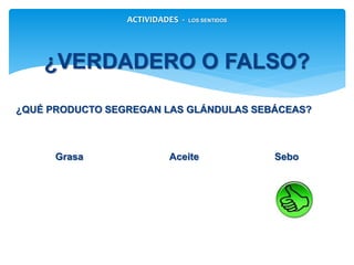 ACTIVIDADES - LOS SENTIDOS
¿VERDADERO O FALSO?
¿QUÉ PRODUCTO SEGREGAN LAS GLÁNDULAS SEBÁCEAS?
Grasa Aceite Sebo
 