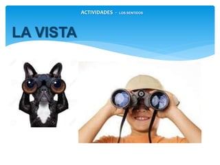 LA VISTA
ACTIVIDADES - LOS SENTIDOS
 