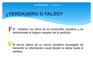 ¿VERDADERO O FALSO?
ACTIVIDADES - LOS SENTIDOS
El cristalino se ubica en el conductillo coclearis y
es denominado el órgano receptor de la audición.
El nervio óptico es un nervio sensitivo encargado
de transmitir la información visual desde
la retina hasta el cerebro.
 