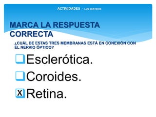 ¿CUÁL DE ESTAS TRES MEMBRANAS ESTÁ EN CONEXIÓN CON EL
NERVIO ÓPTICO?
Esclerótica.
Coroides.
Retina.
MARCA LA RESPUESTA CORRECTA
ACTIVIDADES - LOS SENTIDOS
X
 
