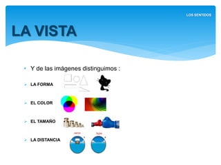 • Y de las imágenes distinguimos :
 LA FORMA
 EL COLOR
 EL TAMAÑO
 LA DISTANCIA
LA VISTA
LOS SENTIDOS
 