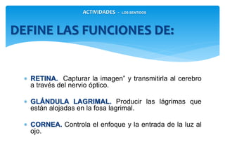  RETINA. Capturar la imagen” y transmitirla al
cerebro a través del nervio óptico.
 GLÁNDULA LAGRIMAL. Producir las lágrimas que
están alojadas en la fosa lagrimal.
 CORNEA. Controla el enfoque y la entrada de la
luz al ojo.
DEFINE LAS FUNCIONES DE:
ACTIVIDADES - LOS SENTIDOS
 