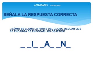 ¿CÓMO SE LLAMA LA PARTE DEL GLOBO OCULAR QUE SE
ENCARGA DE ENFOCAR LOS OBJETOS?
_ _I_ _A_ _N_
SEÑALA LA RESPUESTA CORRECTA
ACTIVIDADES - LOS SENTIDOS
 