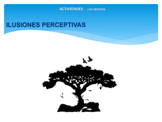ACTIVIDADES - LOS SENTIDOS
ILUSIONES PERCEPTIVAS
 