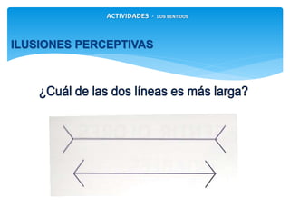 ACTIVIDADES - LOS SENTIDOS
ILUSIONES PERCEPTIVAS
 