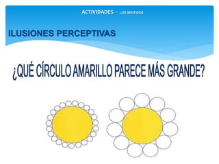 ACTIVIDADES - LOS SENTIDOS
ILUSIONES PERCEPTIVAS
 