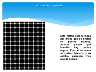 Esta matriz esta formada
por líneas que se cruzan
en puntos blancos.
Aunque parece que
también hay puntos
negros. Pero si los miras
se vuelven blancos, y en
cambio aparecen mas
puntos negros
ACTIVIDADES - LOS SENTIDOS
 