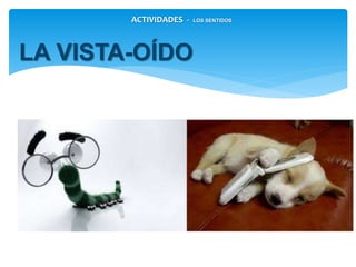 LA VISTA-OÍDO
ACTIVIDADES - LOS SENTIDOS
 