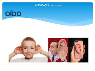 OÍDO
ACTIVIDADES - LOS SENTIDOS
 