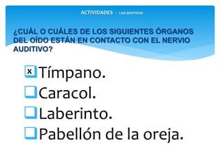 Tímpano.
Caracol.
Laberinto.
Pabellón de la oreja.
¿CUÁL O CUÁLES DE LOS SIGUIENTES ÓRGANOS DEL
OÍDO ESTÁN EN CONTACTO CON EL NERVIO
AUDITIVO?
x
ACTIVIDADES - LOS SENTIDOS
 
