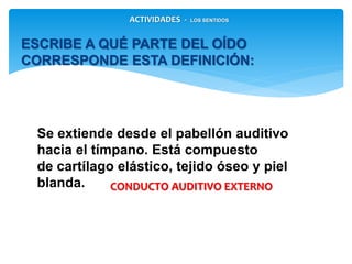 Se extiende desde el pabellón auditivo
hacia el tímpano. Está compuesto
de cartílago elástico, tejido óseo y piel
blanda.
ESCRIBE A QUÉ PARTE DEL OÍDO CORRESPONDE
ESTA DEFINICIÓN:
CONDUCTO AUDITIVO EXTERNO
ACTIVIDADES - LOS SENTIDOS
 