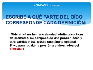 Mide en el ser humano de edad adulta unos
4 cm de promedio. Se compone de una porción
ósea y otra cartilaginosa, posee una lámina
epitelial. Sirve para igualar la presión a ambos
lados del TÍMPANO
ESCRIBE A QUÉ PARTE DEL OÍDO
CORRESPONDE CADA DEFINICIÓN:
ACTIVIDADES - LOS SENTIDOS
 